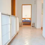 Hills Superior Appartement *